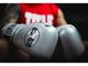 Тренувальні рукавички PRO MEX Professional Edge Training Gloves 16 унцій сріблястий (5858) - изображение 6