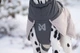 Зимова куртка для собак Glacier wool jacket 3.0 Non-stop dogwear Сірий 45 - изображение 3