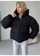 Пуховик об'ємний круглий з капюшоном матовий Modern Boutique чорний, XS ПУХ114 - изображение 4