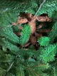Искусственная литая люкс елка Кардашьян высотой 2 м роскошная новогодняя елка премиум класса из полимера, рождественская пышная долговечная елка с густыми ветками и сложной металлической подставкой для дома Зеленый - изображение 8