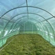 Теплица-туннель 30 м² 3×10×2 м, оцинкованный каркас Ø25 мм, трёхслойная плёнка PE 140 г/м² UV4, 20 окон, дверь на молнии - изображение 7