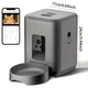Smart Wi-Fi кормушка для котов и собак - автоматическая, 2 л, управление со смартфона, таймер и оповещения (черная) - изображение 3