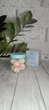Цукровий скраб для тіла Milk Candy Body Scrub з екстрактом молока 140г (VS) - зображення 1