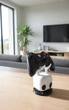Універсальний тримач геймпаду Hollow Knight Controller Holder - зображення 4