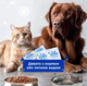 Комбифлор пробиотик (Kombiflor Probiotic) порошок для поддержания баланса микрофлоры кишечника собак и кошек MODES - изображение 6