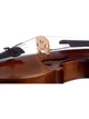 Скрипка STENTOR 1542/A GRADUATE VIOLIN OUTFIT 4/4 - изображение 5