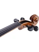 Скрипка STENTOR 1500/A STUDENT II VIOLIN OUTFIT 4/4 - изображение 6