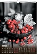 Настенный календарь Buromax Emphasis on color 1 пружина А3 на 2026 год (BM.210602) - изображение 6