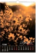 Настенный календарь Buromax Wild flowers 1 пружина А3 на 2026 год (BM.210605) - изображение 10