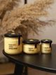 Медова паста ЛИМОН-ІМБИР 250 г (крем-мед). ТМ Honey Life - зображення 4