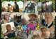 Пазл Ravensburger One Piece 1000 елементів 12001500 (4005555015000) - зображення 2