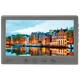 Відеодомофон Light Vision AMSTERDAM FHD GRAY - зображення 1