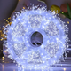 Гирлянда XMAS W-2 Роса 50 м LED 220 В/USB белый провод - изображение 1