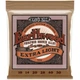 Струни для акустичної гітари Ernie Ball 2150 Earthwood Phosphor Bronze 10/50 - зображення 1