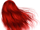 Крем-краска для волос Spa Master Basic Line Hair Color "RED" (Красный) - изображение 2