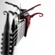 Каподастр Kyser KG6RWA Quick-Change Acoustic Guitar Capo Rosewood - изображение 2