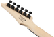 Электрогитара Ibanez GRG120QASP-BGD - изображение 7
