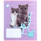 Зошит шкільний 12 аркушів коса лінія Kite Studio Pets SP24-235, - изображение 2