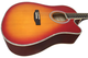 Акустическая гитара PARKSONS JB4111C (Sunburst) - изображение 2