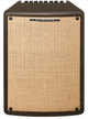 Гитарный комбоусилитель Ibanez T80II - изображение 2