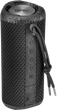 Акустическая система Acme PS407 Bluetooth Outdoor Speaker Black (4770070879993) - изображение 1