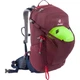 Походный рюкзак Deuter Trail 24 SL (Maron/Navy) (DT 3440219 5322) - изображение 2