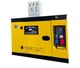 Генератор дизельный SNK Power Shark Diesel Generator DG13-LDE3, с автоматическим вводом резерва (ATS) 3-фазный - изображение 2