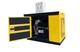 Генератор дизельный SNK Power Shark Diesel Generator DG13-LDE3, с автоматическим вводом резерва (ATS) 3-фазный - изображение 3