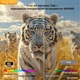 Мини портативный проектор для домашнего кинотеатра MAGCUBIC HY300 MAX Smart Android TV 720p HD - изображение 3