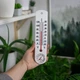 Комнатный термометр с гигрометром Bioterm ПР025300 жидкостный, -20°C…+50°C, 25 см, белый - изображение 2