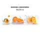 Наклейка на кухонный фартук 60 х 250 см, фотопечать с защитной ламинацией Апельсины в брызгах (БП-s_ed615-1)(БП-12-s_ed615) - изображение 4