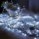 Светодиодная гирлянда Crown 480 LED 10 м 220 В Холодный Белый (WLS-QX-DC2164C10) - изображение 2
