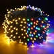 Светодиодная гирлянда Crown 100 LED 10 м 220 В хамелеон Разноцветная/Тёплый белый (WLS-2154MW10) - изображение 2