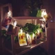 Светодиодная гирлянда Crown с прищепками для фото 20 LED 3 м на батарейках Тёплый Белый (WLS-2331W-3A) - изображение 5