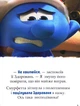 Смурфи. Казки на 5 хвилин. Разом веселіше! - (9786170997630) - изображение 4