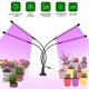 Фитолампа Led Plant Grow Light 4 Лампы Для Роста Растений На Прищепке Фитосветильник Для Комнатных Цветов, Рассады Чёрно-Прозрачный - изображение 3