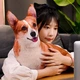 Мягкая игрушка Когри полюшевая-подушка собачка для детей и взрослых 50 см оранжевый (9139) - изображение 4
