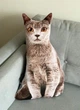 Мягкая игрушка Кот Британец 3D домашнее животное плюшевая подушка для сна и игр 50 см серый (9140) - изображение 1