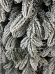 Искусственная литая заснеженная елка Форест Прайм высотой 2.5 м роскошная новогодняя елка с густыми ветвями и складной металлической подставкой для дома Зеленый - изображение 3