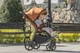 Прогулочная коляска CARRELLO Bravo CRL-5515 Storm Grey 2024 NF /1/ - изображение 3