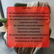 Электроплед одеяло с подогревом серый 120х160 см с таймером на выключение и 9 температурными режимами электроодеяло мягкое - изображение 6