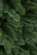 Ялинка лита "Ковалівська" Зелена 1,80 м (SG4829221200183) ТМ SigaGroup - зображення 6