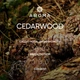 Віддушка CEDARWOOD 10 гр - для свічок, аромадифузорів, рум-спреїв - изображение 2