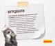 JOSERA Naturelle 10 кг - Беззерновий корм з форелью для котів - зображення 4