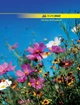 Канцелярская книга Buromax A4 96 л клетка ламинац. микс 4 диз (BM.2400) - изображение 5