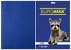 Папір кольоровий А4 Buromax DARK 80гм2 темно-синій 20л. (BM.2721420-02) - зображення 2