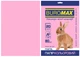 Бумага цветная А4 Buromax PASTEL 80гм2 розовый 20л. (BM.2721220-10) - изображение 1