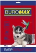 Бумага цветная Buromax DARK+PASTEL А4 80г/м2 10цв. 20л. (BM.27211120-99) - изображение 1