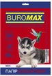 Бумага цветная Buromax DARK+INTENSIV А4 80г/м2 10цв. 50л. (BM.2721950-99) - изображение 1