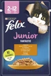 Влажный корм для котят Purina Felix Junior Fantastic с курицей в желе (26х85г) - изображение 2